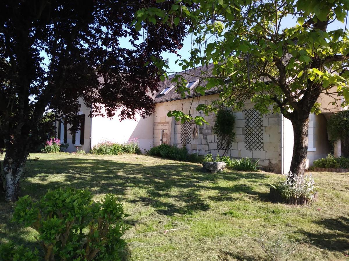 Gite Les Hautes Mougonnieres Neuil المظهر الخارجي الصورة